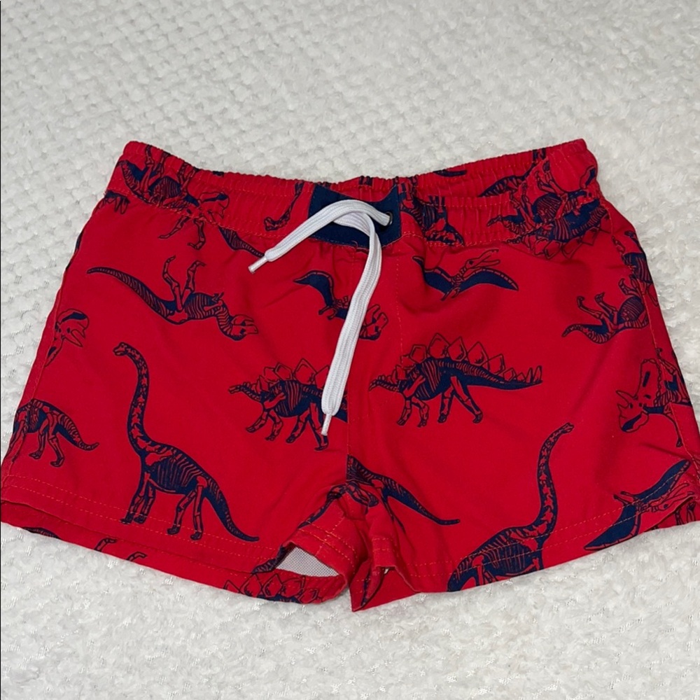 Dinosaur Print Red Swim Shorts